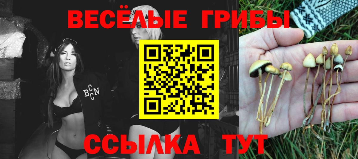 Галлюциногенные грибы Psilocybine cubensis Уссурийск