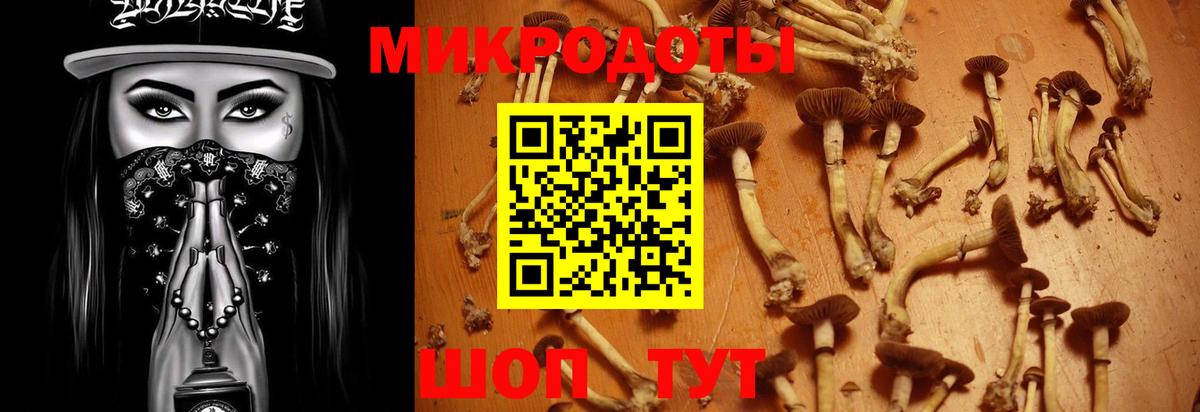 Уссурийск  Галлюциногенные грибы Cubensis  купить наркотик  Вход с VPN 